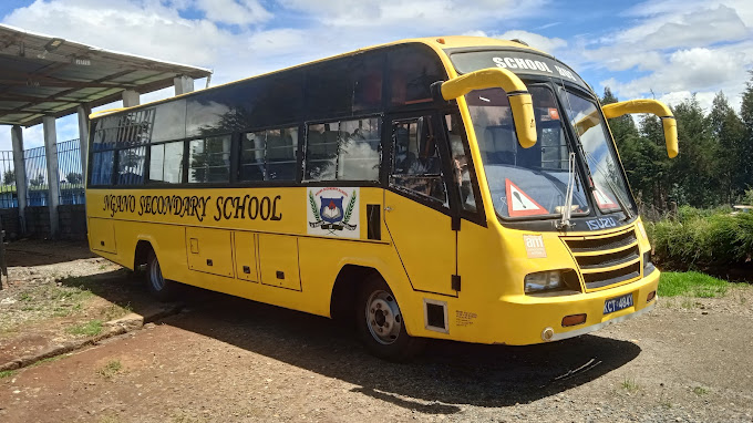 The School Bus